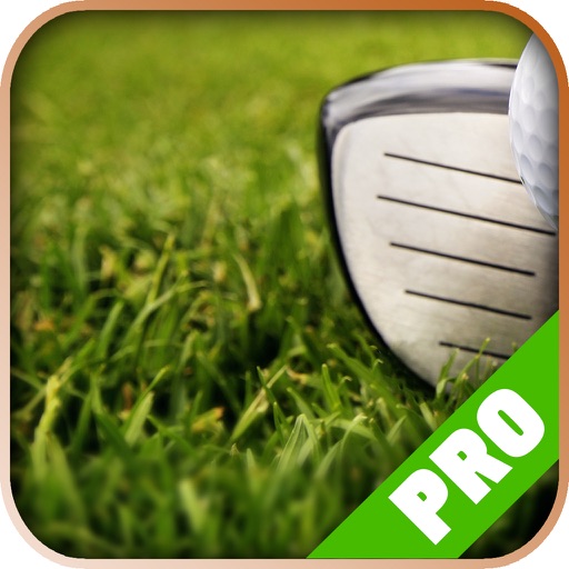 Game Net for - Tiger Woods PGA Tour 14 icon