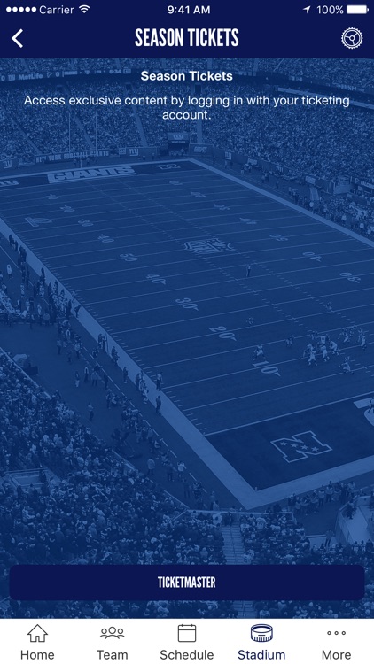 New York Giants screenshot-4