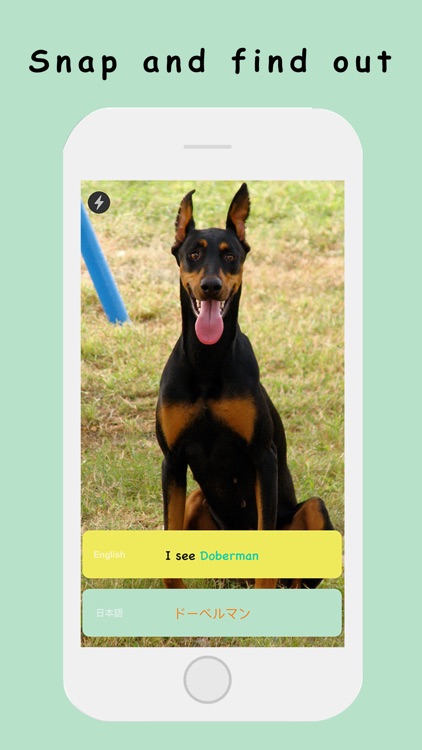 DawgDawgGo screenshot-3