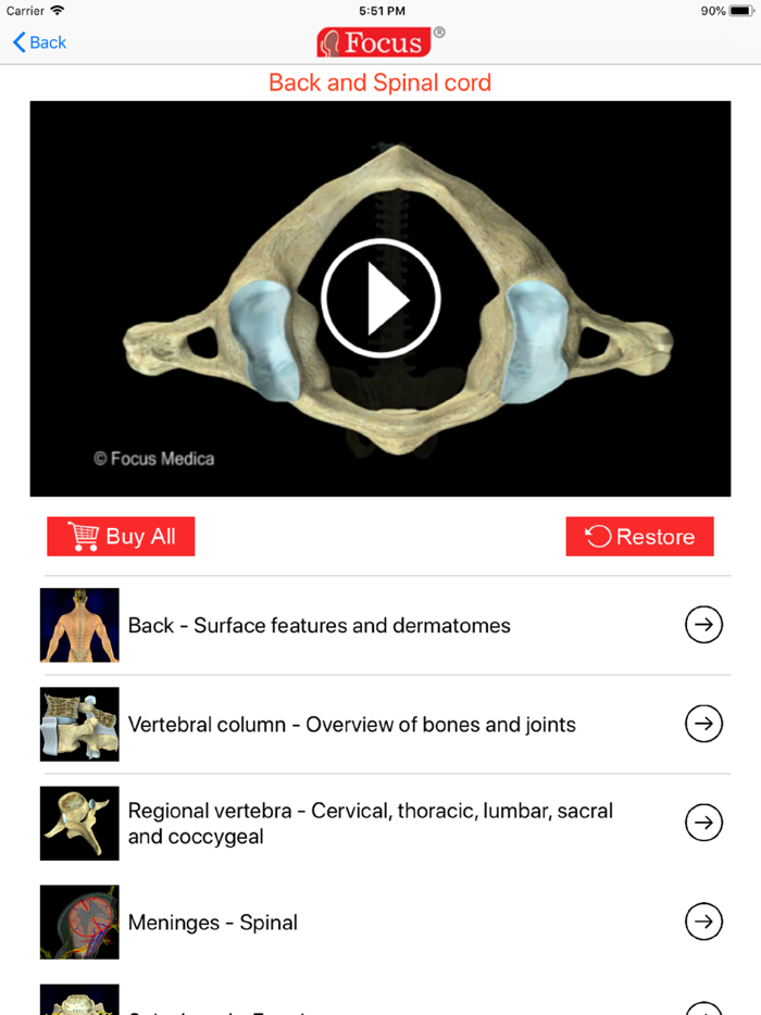 Back and Spinal cord