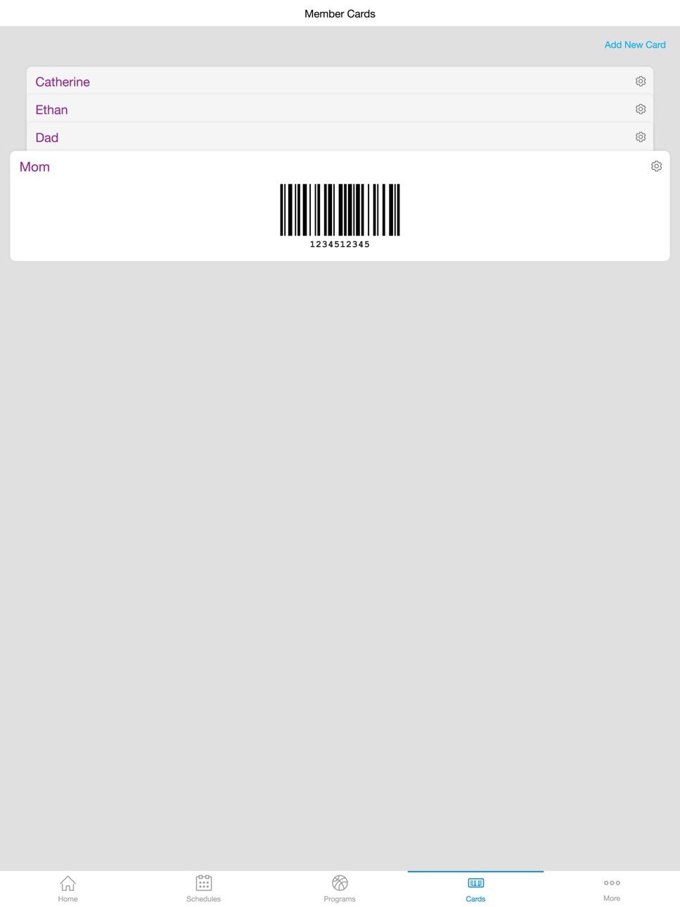 iPad screenshot