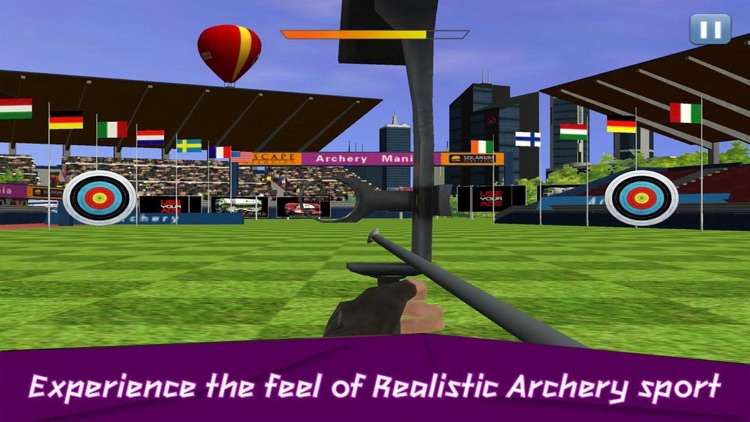 Real Archery Sport Target