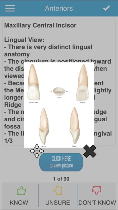 ADAT Dental Anatomy Cram Cards screenshot 2