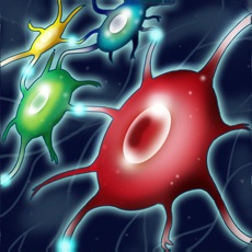 Activities of Neuron Runner