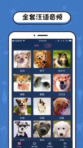 Game screenshot 猫语翻译器-人狗人猫交流器 hack