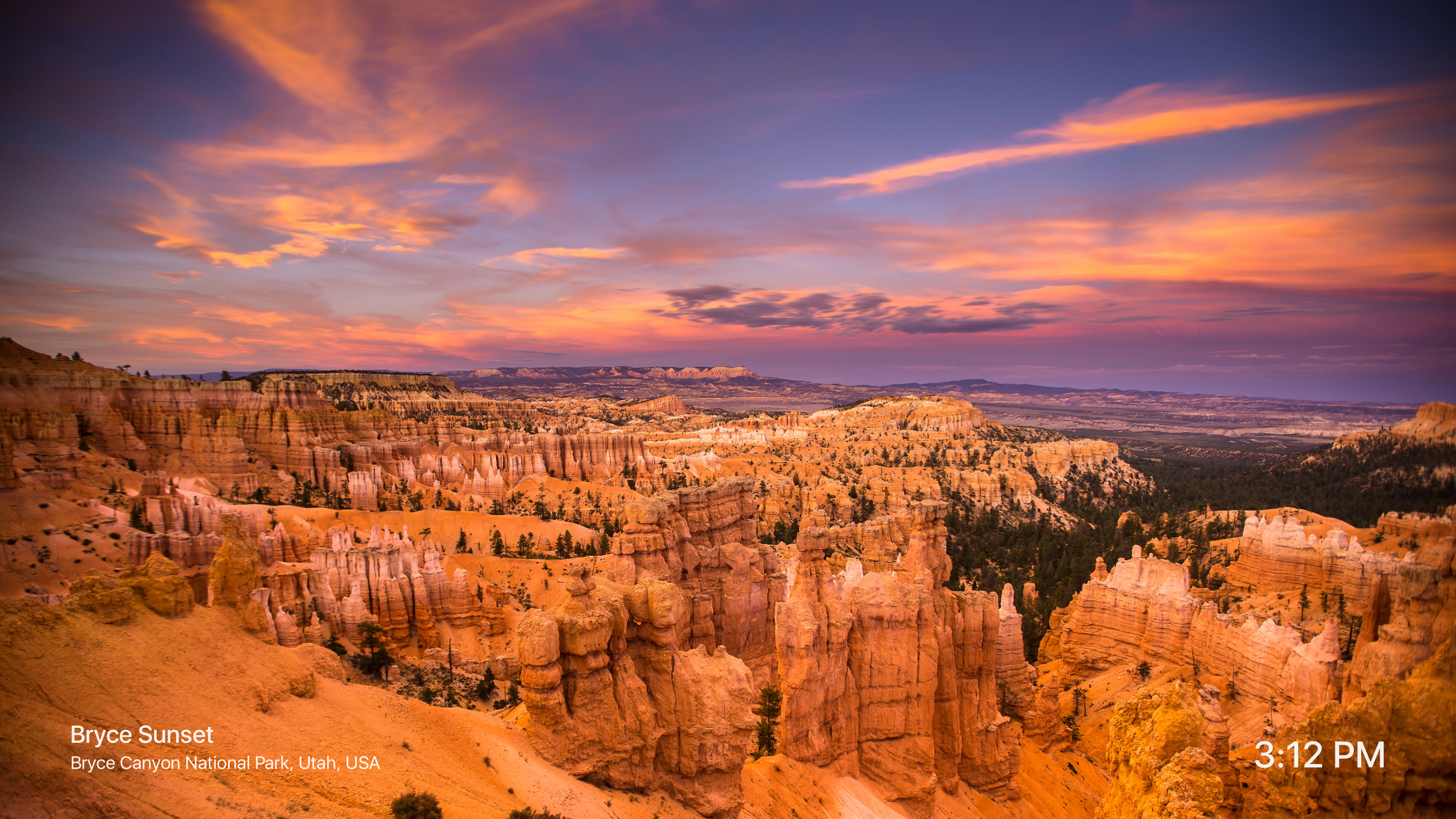 Naturescapes 4K - Magic Window screenshot 5