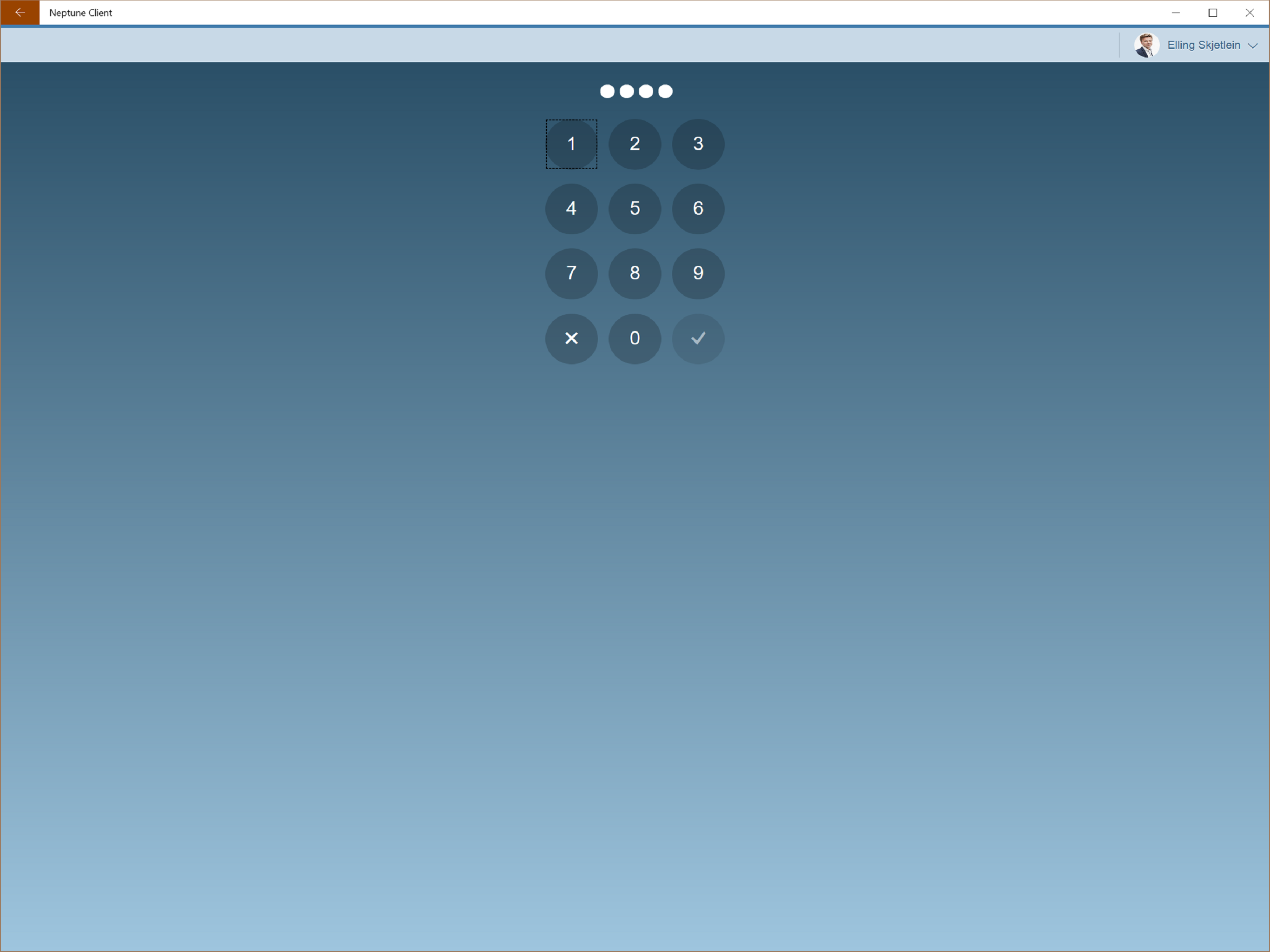 Neptune Client screenshot 10