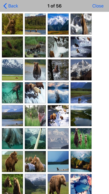 Voyageurs -National Park screenshot-4