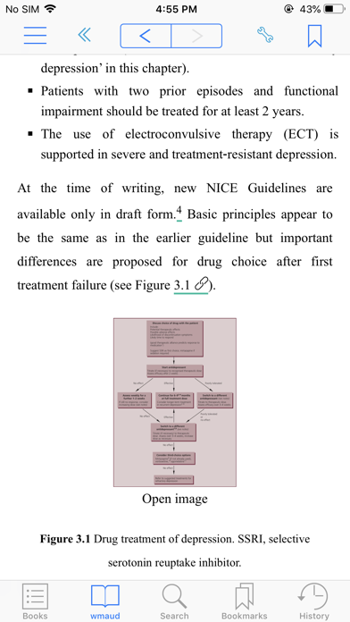 Maudsley PG in Psychiatry, 12Eのおすすめ画像5