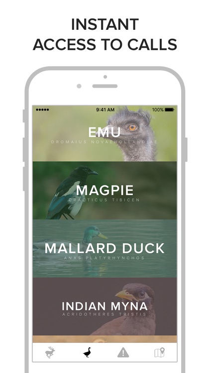 Game Calls Australia screenshot-3