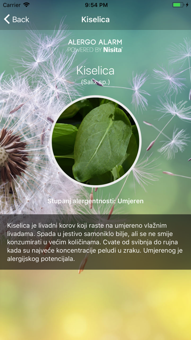 Screenshot #3 pour Alergo Alarm