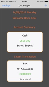QcK Budget Pro: Simple Money Manager screenshot
