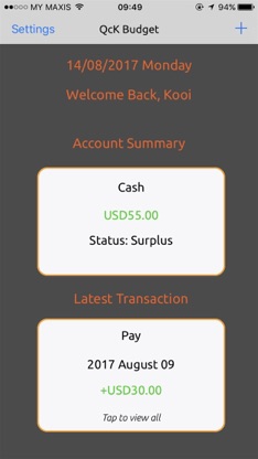 QcK Budget Pro: Simple Money Manager screenshot 1