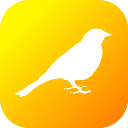 Britain UK Birds Dictionary Читы