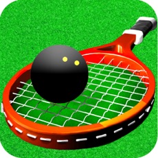 Activities of Extreme Squash Sports Championship