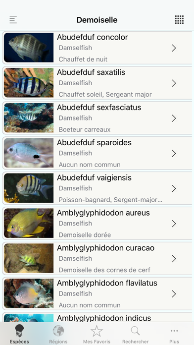 Screenshot #1 pour Fishes, by Reef Life