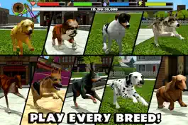 Game screenshot Stray Dog Simulator apk