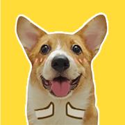 Puppy Face Animated Stickers
