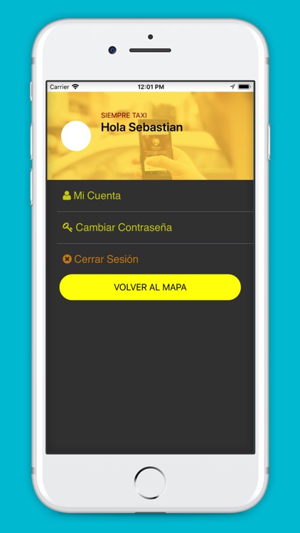 Siempre Taxi screenshot-3