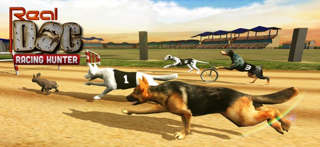 Real Dogs Racing Bunny Hunter