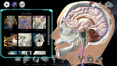 3D解剖学アトラス：iRisのおすすめ画像5