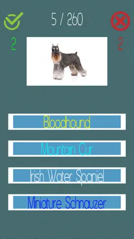 Game screenshot Dog Quiz  (250+ Breeds) mod apk