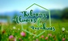 Relaxing Flowers & Meadows - Ambient Nature Wellness Yoga Video Wallpaper