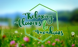 Relaxing Flowers & Meadows - Ambient Nature Wellness Yoga Video Wallpaper