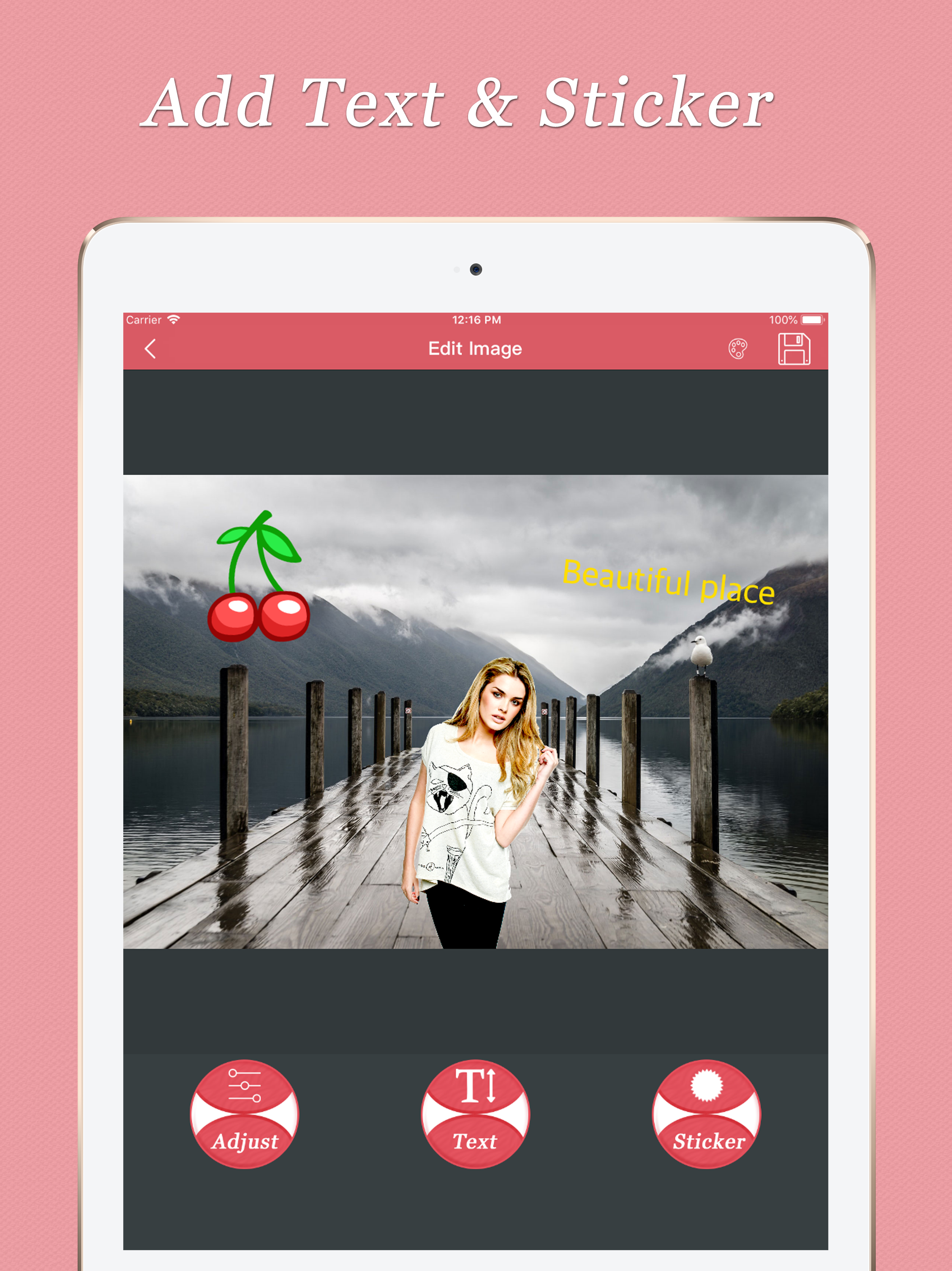 Photo Video Background Changer screenshot 15