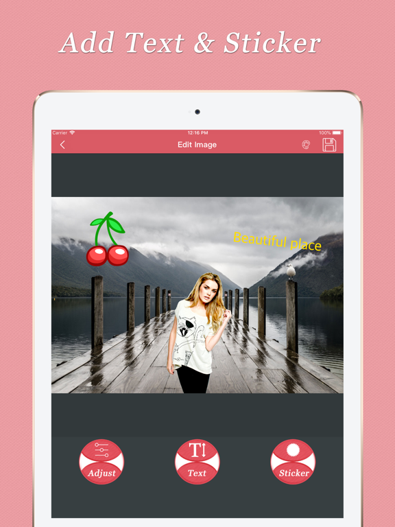 Photo Video Background Changer iPad screenshot