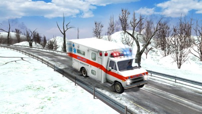 Ambulance Rescue Driver 3D Sim screenshot 3
