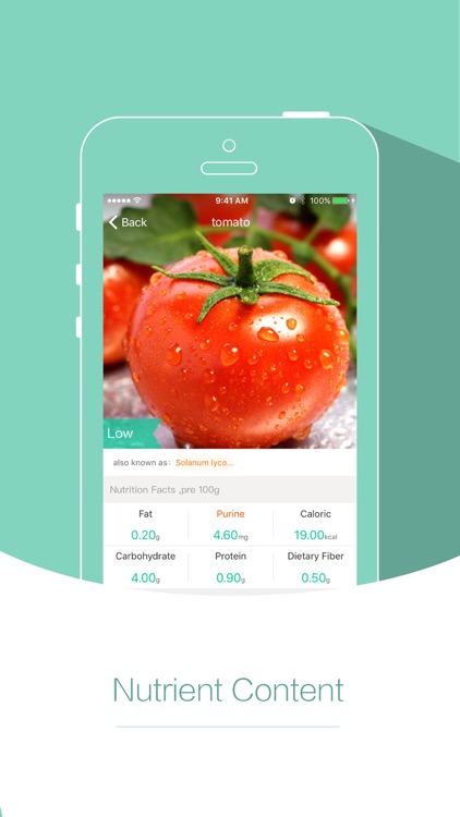 No Gout-Real time purine query screenshot-3