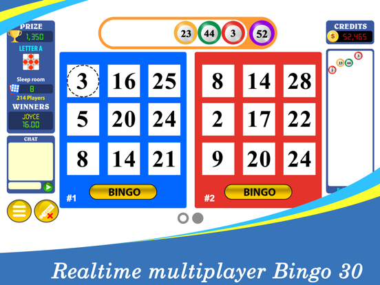 Screenshot #6 pour Bingo Thirty™