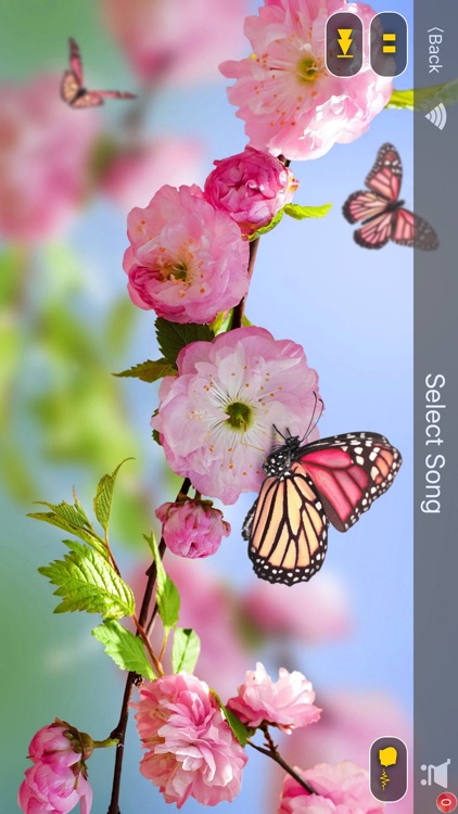 DH Karaoke screenshot-3