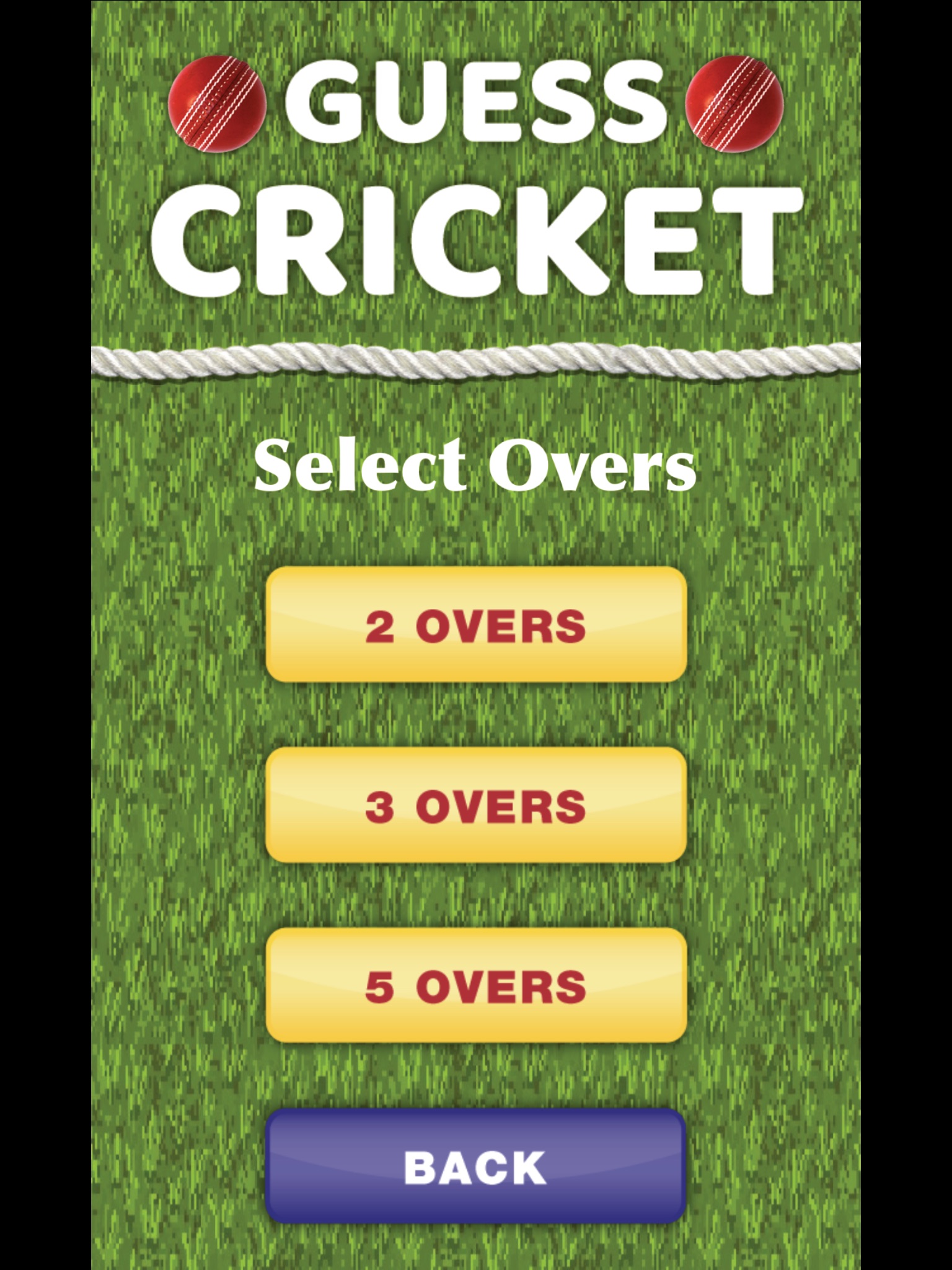 Guess Cricket 2018 screenshot 2
