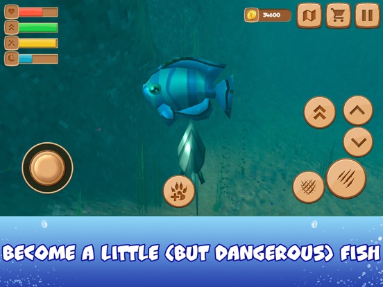 Blue Ocean Tasty Fish