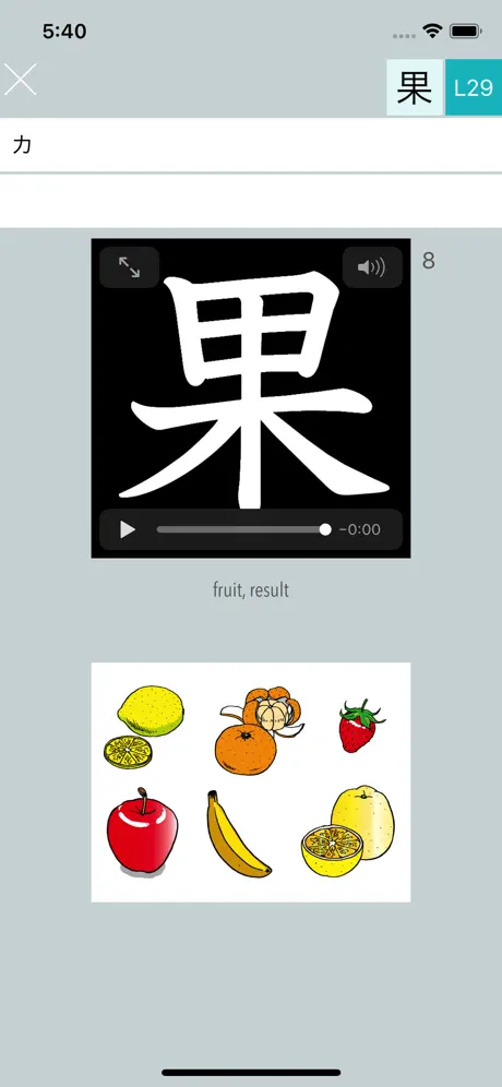 Basic Kanji Plus