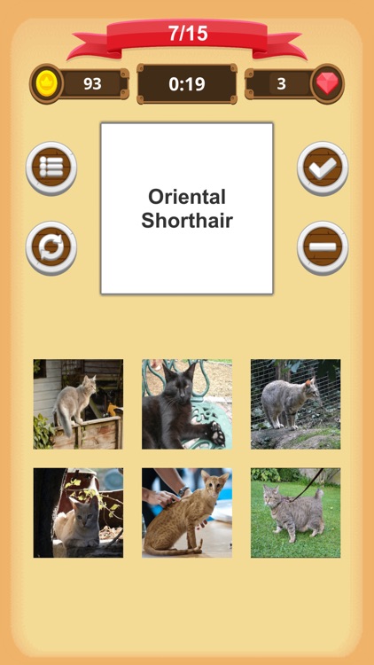 Cats - Quiz screenshot-5