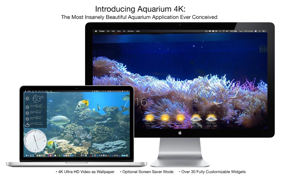 Aquarium 4K - Live Wallpaper - 1.0.5 - (macOS)