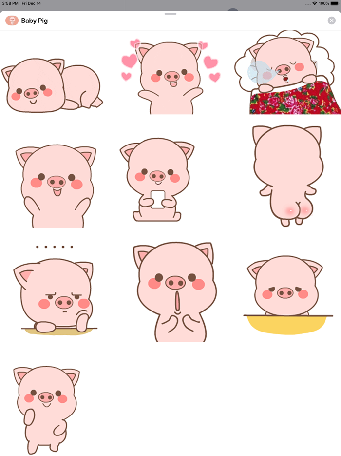 Baby Pig Animated Stickers