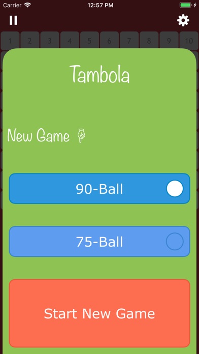 Bingo-Tambola Pro screenshot 3