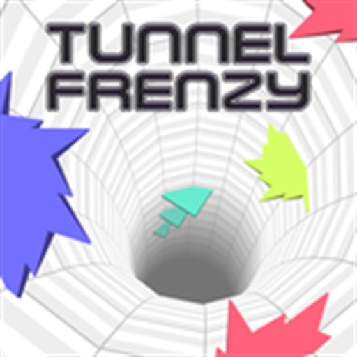 Tunnel Frenzy icon