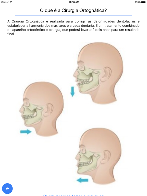 Screenshot #5 pour OrtogApp