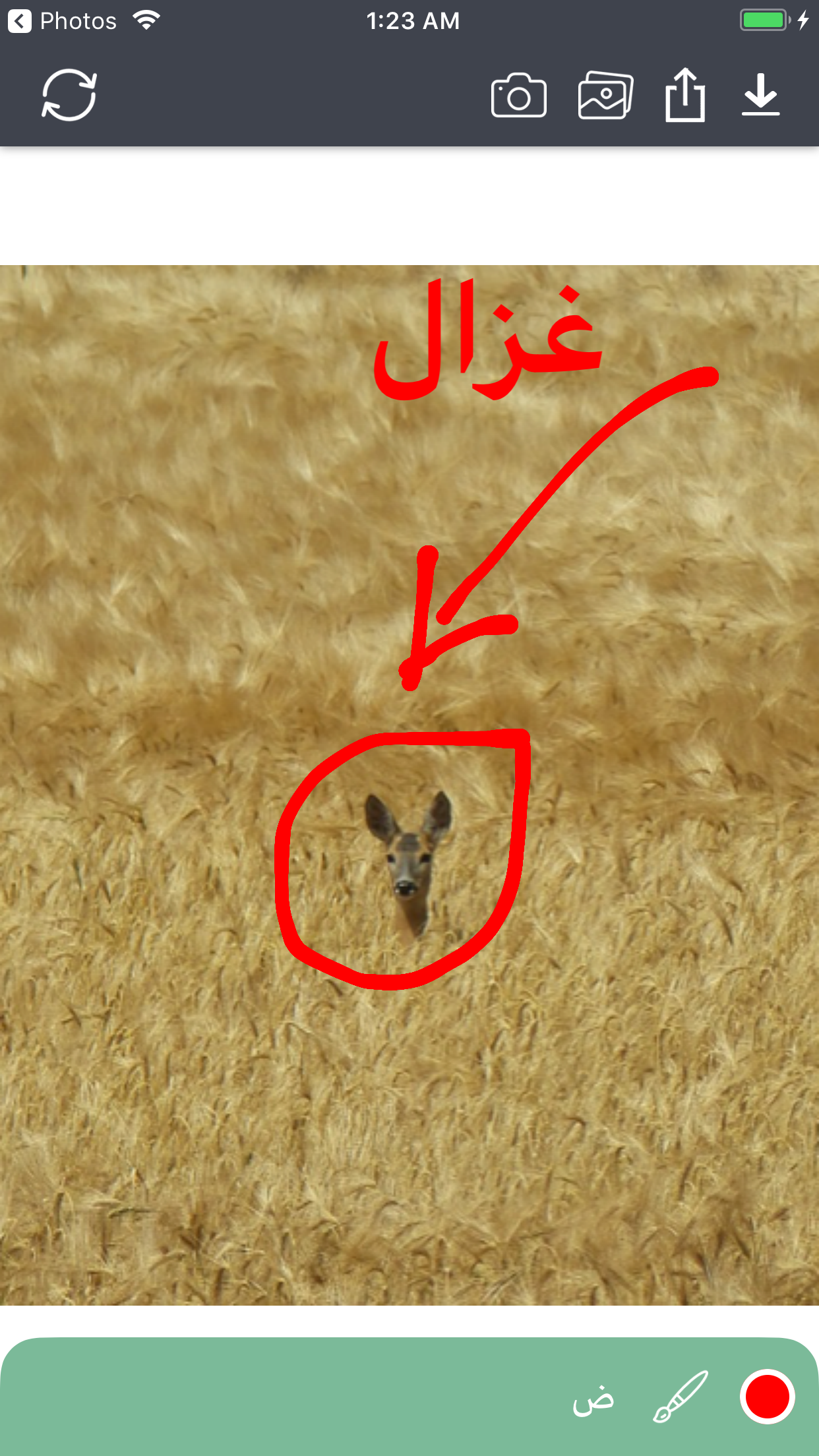الكتابة علي الصور:خطوط عربية