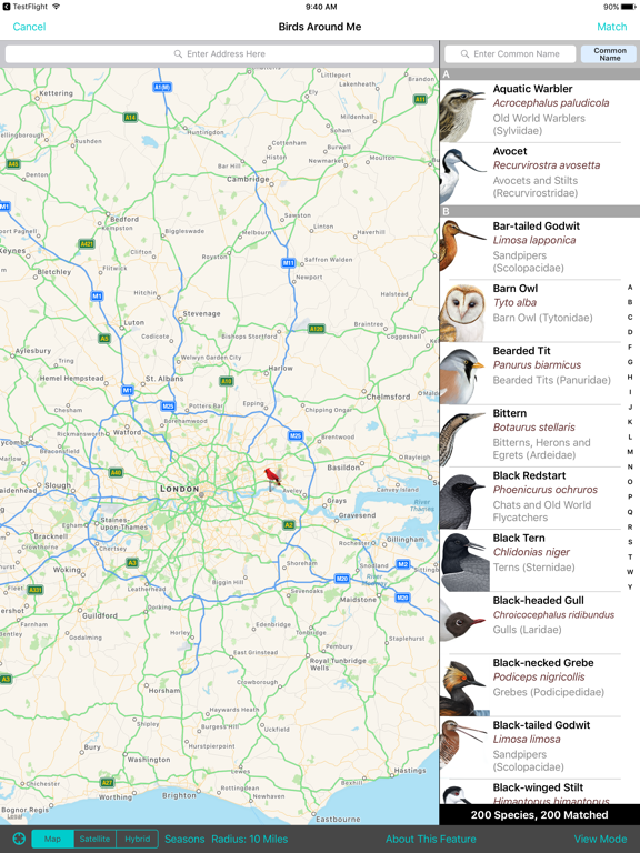 Screenshot #6 pour iBird UK Pro Guide to Birds