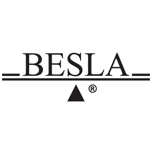 BESLA, Inc.