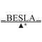 BESLA (Black Entertainment and Sports Lawyers Association) is a nationally recognized leader in legal education and professional development within the United States for lawyers and professionals in the entertainment, sports, and related industries