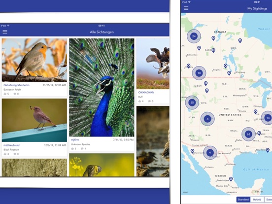iKnow Birds PRO - USA iPad screenshot 5 - Reference app