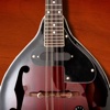 Mandolin Companion