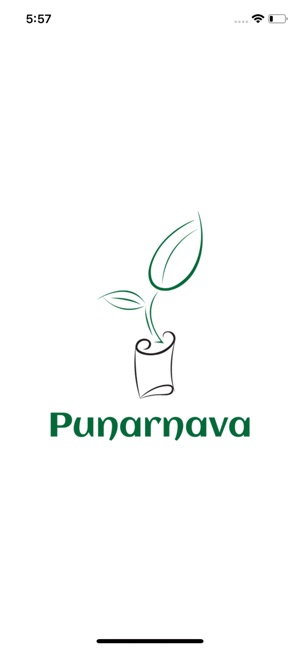 Punarnava